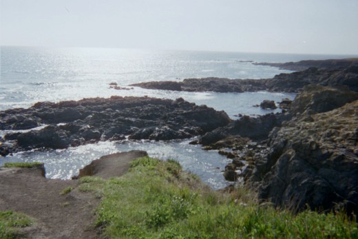 Northern California, along the coast, sea lions sunning. May, 2010