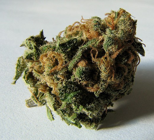 A close-up image of a dried, potent, Cannabis bud. Type Mountain Jam. (Source Wikipedia)