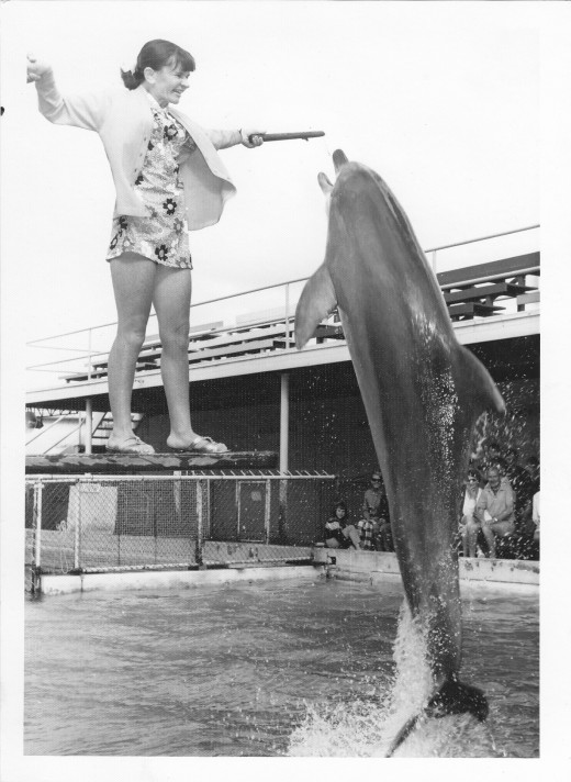 My darling wife in the 1960s showing the children that feeding dolphins is safe