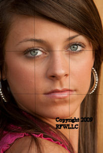 Image copyright RFWLLC 2009