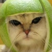 rentap profile image