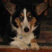 Stella Here profile image