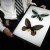 butterflies butterflies