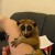 slow LORIS female slow LORIS female