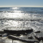 San Diegan profile image