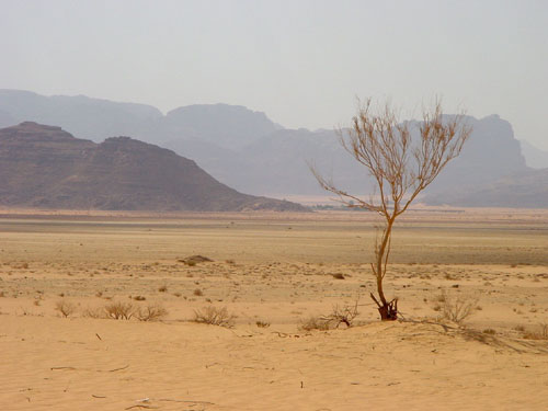 Dry Wadi, Jordan