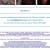 The footer area of the photo week page where children submit their own images to, showing off their Silly Bandz. Poker links in footer area. Click to enlarge. The footer area of the photo week page where children submit their own images to, showing off their Silly Bandz. Poker links in footer area. Click to enlarge.