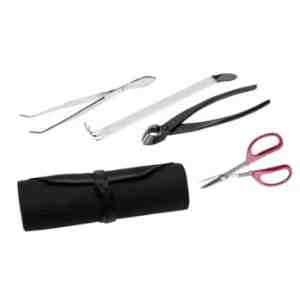 Basic bonsai toolkit (this availble from Amazon for 69 pounds and change).