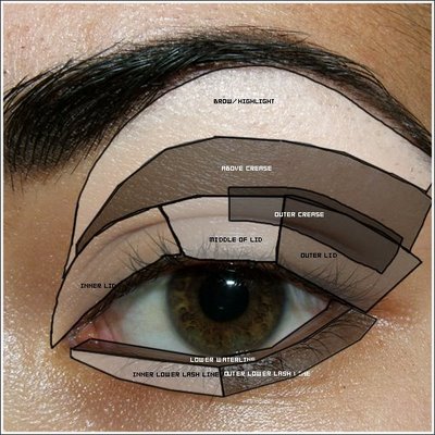 This will help you understand your makeup territory better  Between this is not my eye :P 