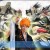 Ichigo with the Shinigami (from the top left: Capt.Kumamura, Capt.Tousen, Capt.Byakuya, Vice-Capt.Hisagi, Capt.Zaraki, Vice-Capt.Abarai, and Ikkaku Ichigo with the Shinigami (from the top left: Capt.Kumamura, Capt.Tousen, Capt.Byakuya, Vice-Capt.Hisagi, Capt.Zaraki, Vice-Capt.Abarai, and Ikkaku