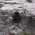 Rocky Gorge. Copyright Tia D Peterson. All rights reserved. Rocky Gorge. Copyright Tia D Peterson. All rights reserved.