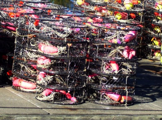 Escape The Crab Trap