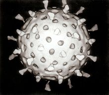 Rotavirus