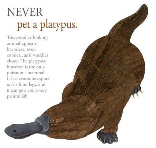 Never Pet a Platypus
