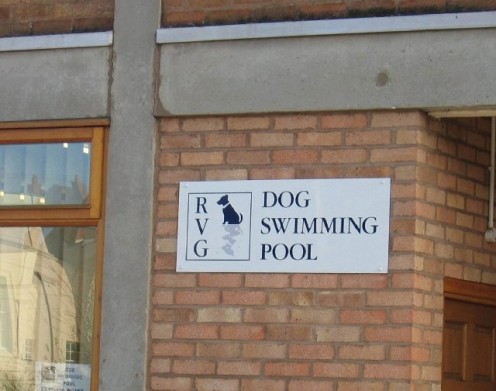 Doggie Pool - Photo Credit below