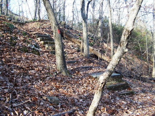 You have to look close to see the gnomes.