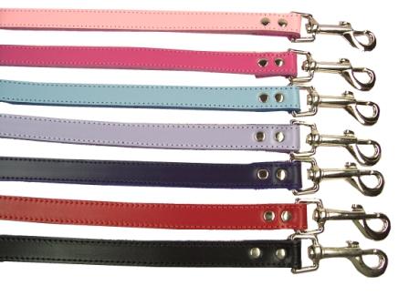 Dog leashes come in a variety of styles.  Make sure to find one that suits you and your dogs needs.