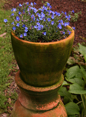 An old style pot can make the make plants appear more natural and give a lovely antique appearance to the setting.