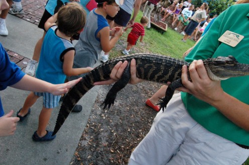 My daughter petting a crocodile at the zoo.  All for free! Photo by AMB