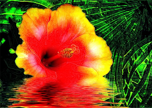 Copyright Elayne Kongaika 