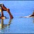 You will float in the DEAD SEA You will float in the DEAD SEA