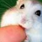 5pow profile image