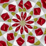Angie Faucher profile image
