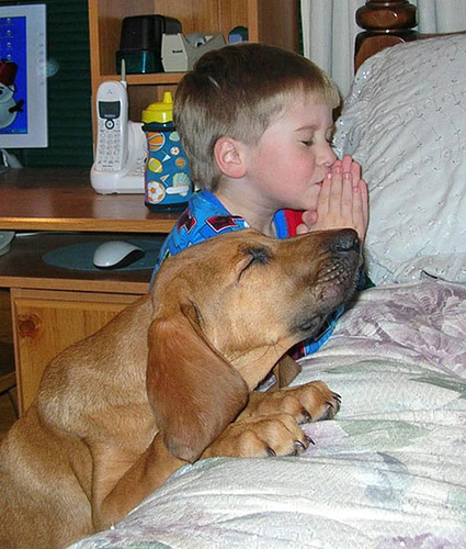 A little boy prays by his bedside and his dog accompanies him