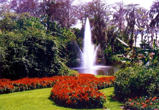 Pictures Of The Beautiful Cypress Gardens In Florida Hubpages