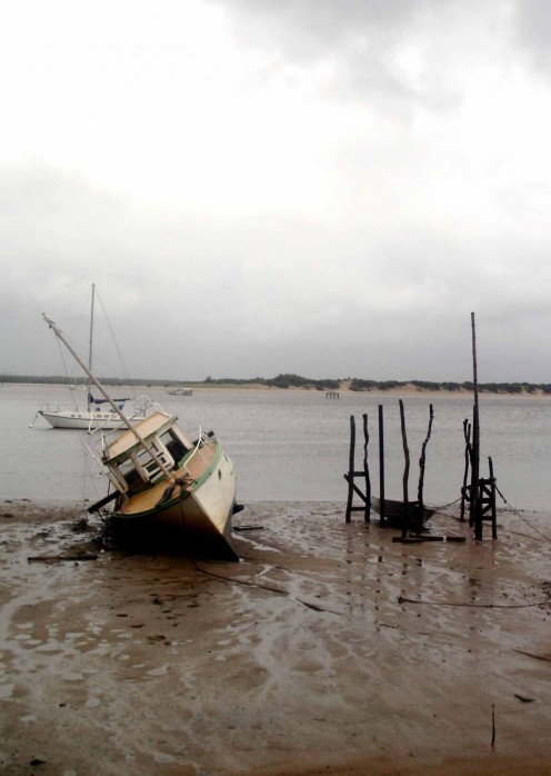 Low tide