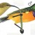Orange breated sunbird. From Kenneth Newman's "Birds of Southern Africa", SAPPI, 2007 Orange breated sunbird. From Kenneth Newman's "Birds of Southern Africa", SAPPI, 2007