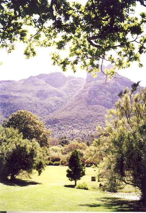 A view of the National Botanical Garden Kirstenbosch, where much research into the fynbos vegetation is done.