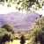 A view of the National Botanical Garden Kirstenbosch, where much research into the fynbos vegetation is done. A view of the National Botanical Garden Kirstenbosch, where much research into the fynbos vegetation is done.