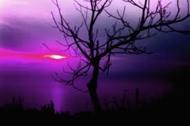  "The mind can make substance, and people planets of its own with beings brighter than have been, and give a breath to forms which can outlive all flesh."   Lord Byron 