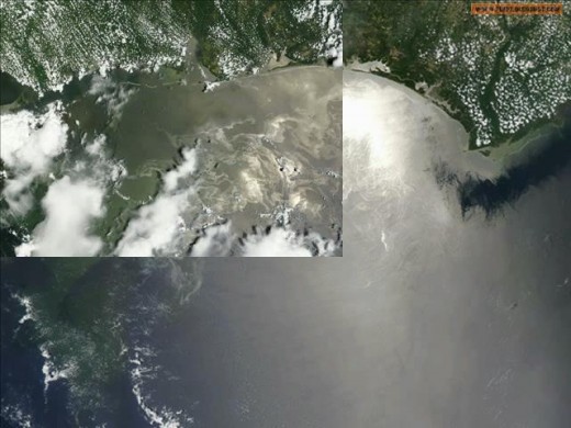The real truth about the BP oil spill is still largely unknown, but the effects are not. BP tried numerous ways to hid the scope of the disaster.