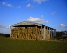 Dutch barn