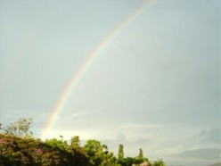 Positive Results Of HubPages Challenges