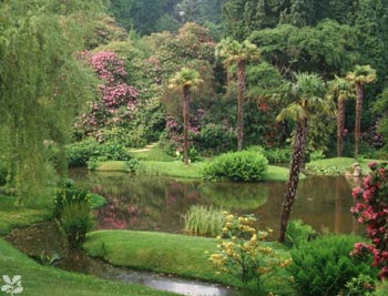Sheffield Park Garden