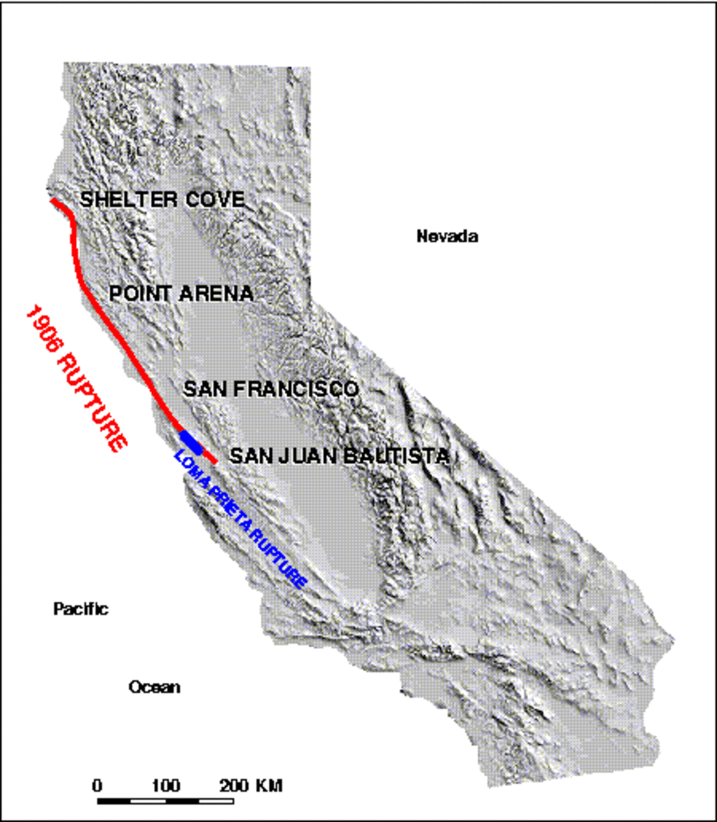USGS image. (Don't confuse the wording in blue with the illustrative line of the fault.) The actual 1989 rupture, in blue, is overlaid on the red line for the 1906 quake, and it is very tiny.