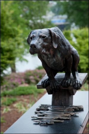 This dog will hunt