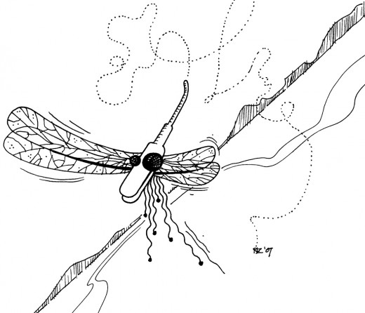 Erratic Flight Path of the Asymmetrical Dragonfly, rickzimmerman 2010