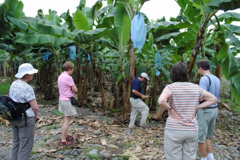 My Costa Rica tour guide giving us a tour of a banana plantation