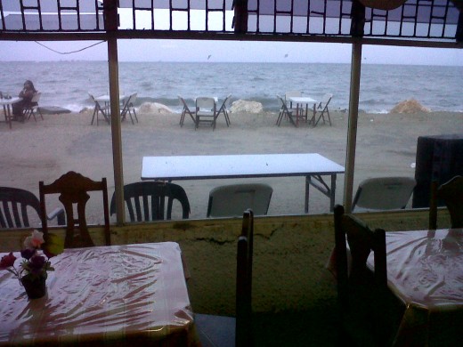View from inside main dining room.