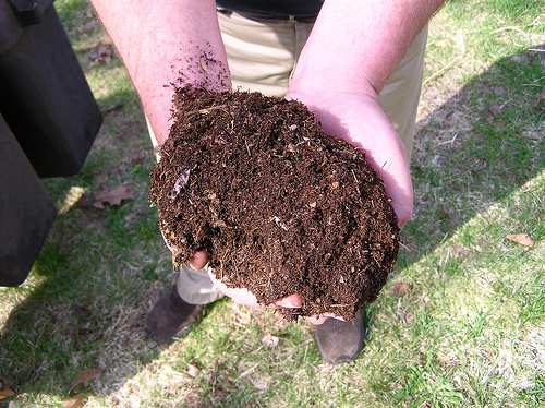 Compost. (Courtesy of Flickr.)
