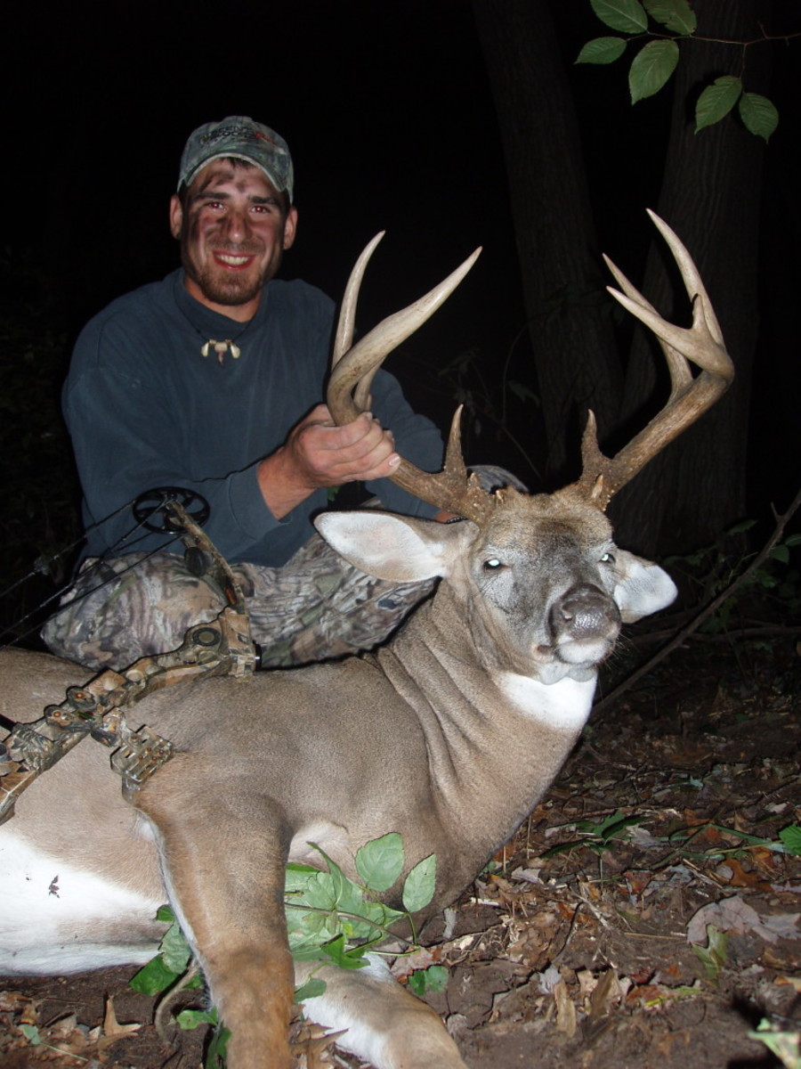 Bow Hunting White Tail Deer Takes A Certain Level Of Skill And Determination. Be Sure To Bookmark This Site So You Can Find It Back Easily. 