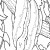 Reptiles for Kids Coloring Pages Free Colouring Pictures to Print  - Reticulated Python