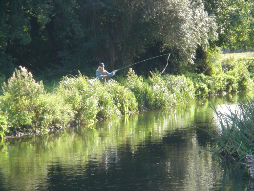 Fly-Fishing-off-the-Bank