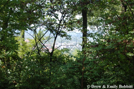 With all the foliage still on the trees, this was about as good of a view one could get of the University of Tennessee campus & Downtown Knoxville area
