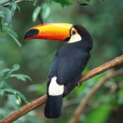 vijayabanu profile image