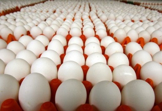 Egg recall 2010